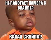 не работает камера в скайпе? какая скайпа?