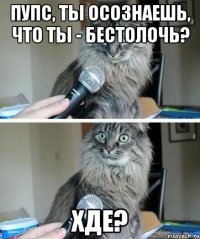 Пупс, ты осознаешь, что ты - бестолочь? Хде?