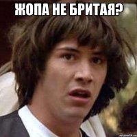 жопа не бритая? 