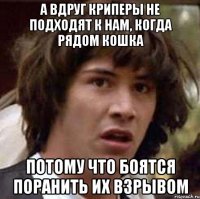 а вдруг криперы не подходят к нам, когда рядом кошка потому что боятся поранить их взрывом