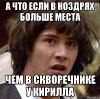 а что если в ноздрях больше места чем в скворечнике у кирилла