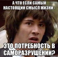 а что если самый настоящий смысл жизни - это потребность в саморазрушении?