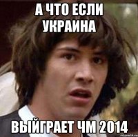 А что если Украина Выйграет чм 2014