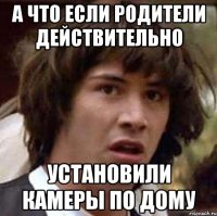 а что если родители действительно установили камеры по дому