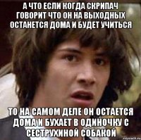 а что если когда скрипач говорит что он на выходных останется дома и будет учиться то на самом деле он остается дома и бухает в одиночку с сеструхиной собакой