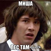 Миша Лес там----->