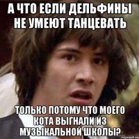 а что если дельфины не умеют танцевать только потому что моего кота выгнали из музыкальной школы?