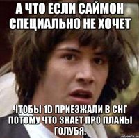 А что если Саймон специально не хочет чтобы 1D приезжали в СНГ потому что знает про планы голубя.