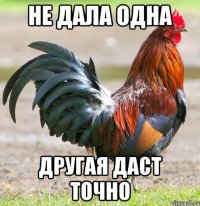 не дала одна другая даст точно