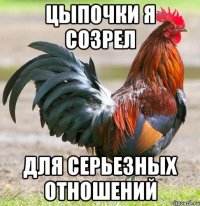 цыпочки я созрел для серьезных отношений