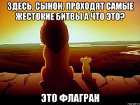 здесь, сынок, проходят самые жестокие битвы а что это? это флагран