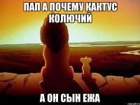 пап а почему кактус колючий а он сын ежа