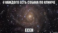 У каждого есть собака по кликче Есен