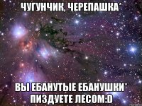 чугунчик, черепашка* вы ебанутые ебанушки* пиздуете лесом:d