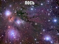 лось 