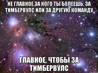 НЕ ГЛАВНОЕ ЗА КОГО ТЫ БОЛЕЕШЬ. ЗА ТИМБЕРВУЛС ИЛИ ЗА ДРУГУЮ КОМАНДУ ГЛАВНОЕ, ЧТОБЫ ЗА ТИМБЕРВУЛС