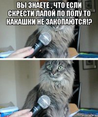 вы знаете , что если скрести лапой по полу то какашки не закопаются!? 