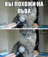 вы похожи на льва 