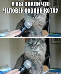 а вы знали что человек хозяин кота? 