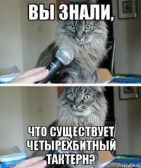 вы знали, что существует четырехбитный тактерн?