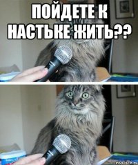 пойдете к Настьке жить?? 