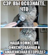 сэр, вы осознаете, что наша комиссия фиксированная и самая низкая в городе?