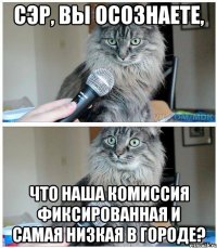 сэр, вы осознаете, что наша комиссия фиксированная и самая низкая в городе?