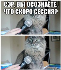 Сэр, вы осознаёте, что скоро сессия? 