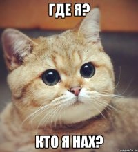 Где я? Кто я нах?