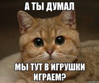 а ты думал мы тут в игрушки играем?