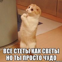  все стеты как светы но ты просто чудо