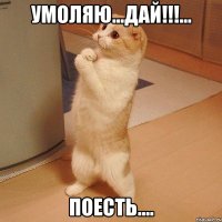 умоляю...дай!!!... поесть....