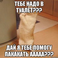 тебе надо в туалет??? дай я тебе помогу пакакать ааааа???