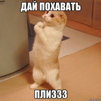 дай похавать плиззз