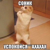 соник успокойся***ахахах