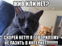 жив или нет? скорей нет!!! я говорил ему не лазить в интернет!!!