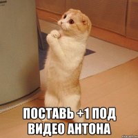  поставь +1 под видео антона