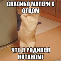 спасибо матери с отцом что я родился котаном!