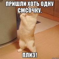 пришли хоть одну смсочку, плиз!