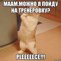 маам,можно я пойду на тренеровку? pleeeeece!!!