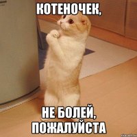 Котеночек, не болей, пожалуйста