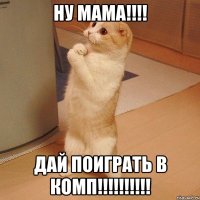 ну мама!!!! дай поиграть в комп!!!!!!!!!!