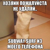 Хозяин пожалуйста не удаляй.. subway surf из моего телефона