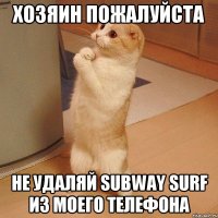 Хозяин пожалуйста не удаляй subway surf из моего телефона