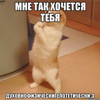 мне так хочется тебя духовнофизическигепотетически:з