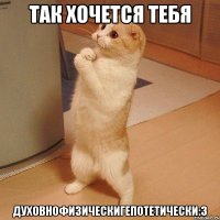 так хочется тебя духовнофизическигепотетически:з