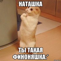 НАТАШКА ТЫ ТАКАЯ ФИНОНЯШКА:*