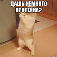 Дашь немного протеина? 