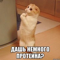  Дашь немного протеина?