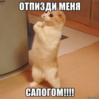 отпизди меня сапогом!!!!